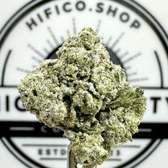 "Gelatti" Lo.Fi.Co THCa Flower