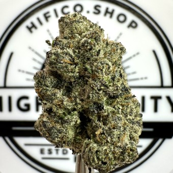 “Vice Runtz" (Uplifting Sativa) THCa Flower Bulk