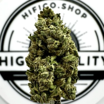 "Banana Beltz" THCa Flower
