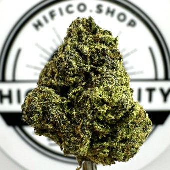 "Gastro Pop" (Relaxing Indica) THCa Flower Bulk