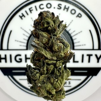 "Lemoncello" THCa Flower
