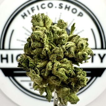 "Chem Driver" (Balancing Hybrid) THCa Flower Bulk