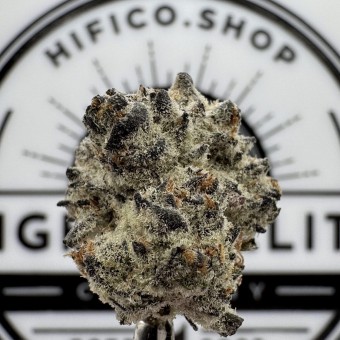 "Platinum Purple Cookies" (Balancing Hybrid) THCa Flower Bulk