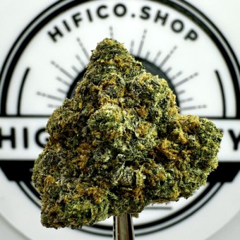 "Tropicana Cookies" (Energizing Sativa) THCa Flower Bulk