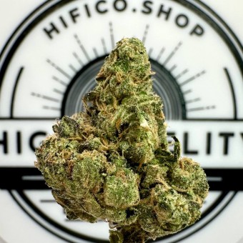 "Black Maple" (Relaxing Indica) THCa Flower Bulk