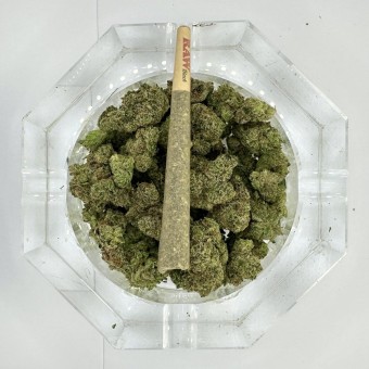 THCa Pre-Roll Focus
