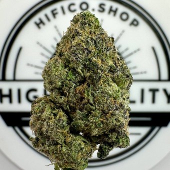 "London Marker" (Balancing Hybrid) THCa Flower Bulk