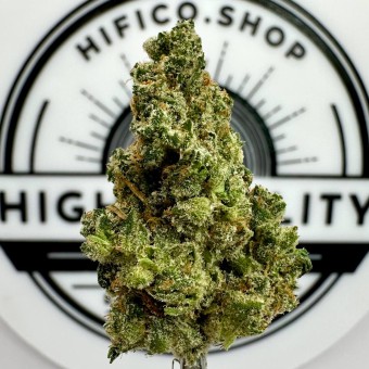 “Purple Diesel" (Uplifting Sativa) THCa Flower Bulk