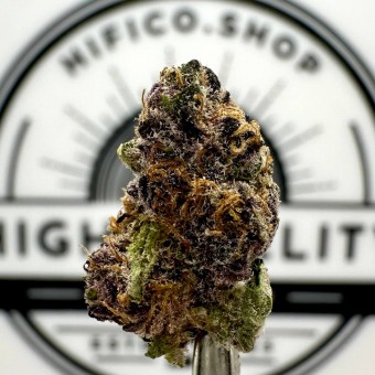 "Gas Face" Smalls THCa Flower