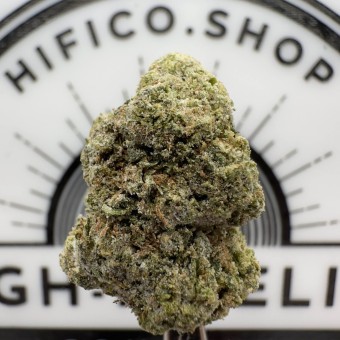 "Cherry Pie"  Lo.Fi.Co THCa Flower