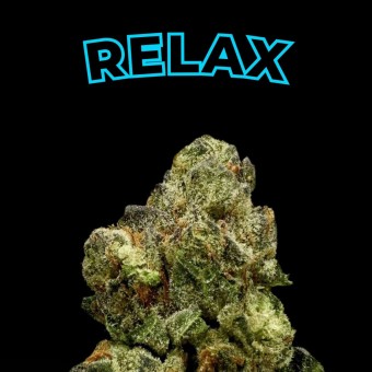 "Girl Scout Cookies" THCa Flower