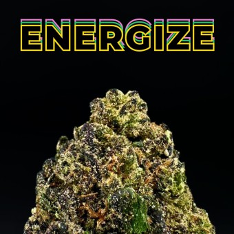 "Bubble Gum" THCa Flower