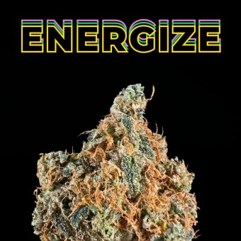 "Colombian Gold" THCa Flower