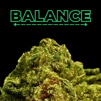 "Grape Gas" Smalls THCa Flower