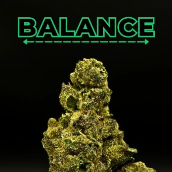 "Luxxe Runtz" THCa Flower