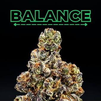 "Terp Candy" THCa Flower