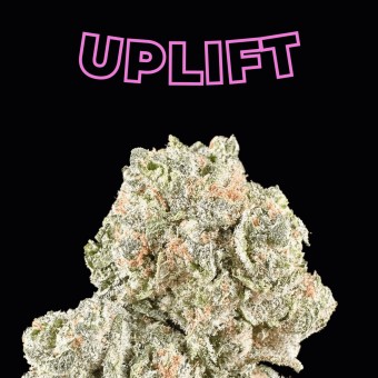 "Blue Dream" THCa Flower