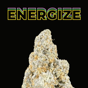 "Cafe Racer" THCa Flower