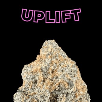 "College Park" THCa Flower