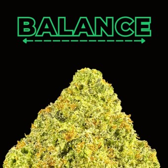 "Dumb Gas" THCa Flower