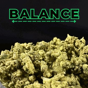 "Gary Payton" Smalls THCa Flower