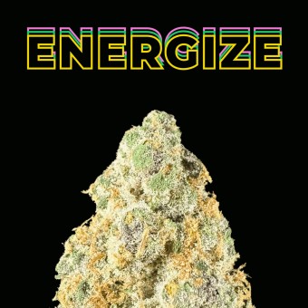 "Apricot Scone" THCa Flower