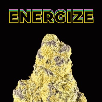 "Bear Dance" THCa Flower