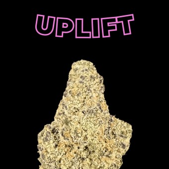 "L'orange" THCa Flower