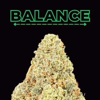 "Carbon Fiber" Smalls THCa Flower