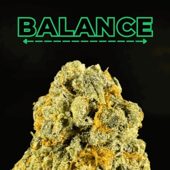 "Dark Web" THCa Flower