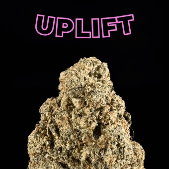 "Gelonade" THCa Flower