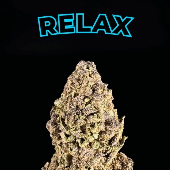 gorilla skunk thca flower