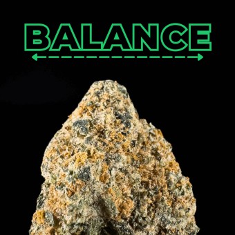 Guava Glider THCa Flower