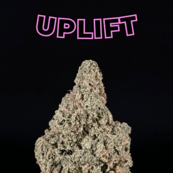 Blue Dream THCa Flower