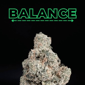 Grape Gas THCa Flower
