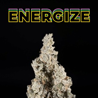 Sour Face OG THCa Flower