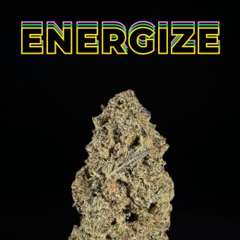 Tropical Infusion THCa Flower