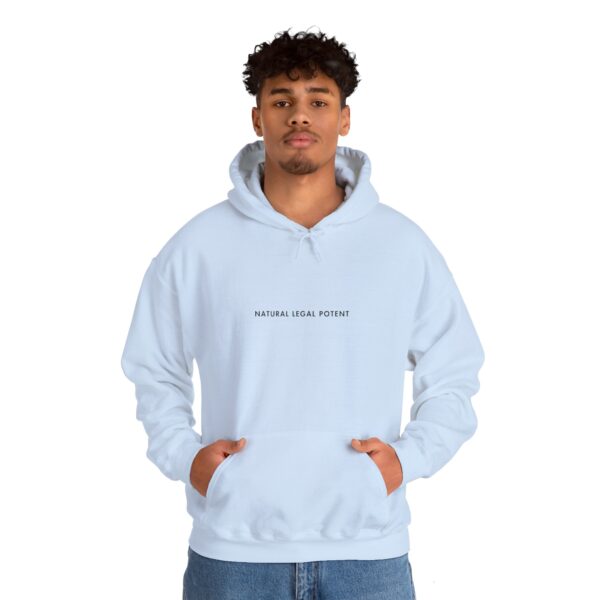 Everyday Hoodie