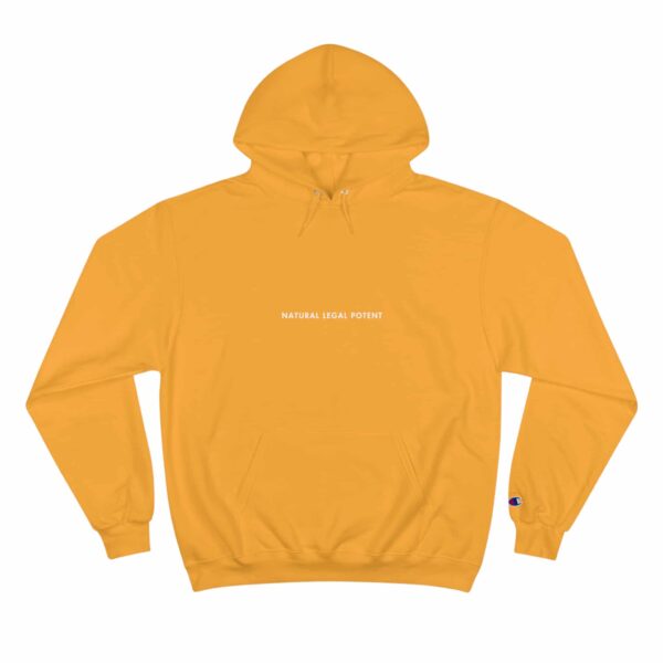 High Fidelity x Champion Hoodie 🎤🔥