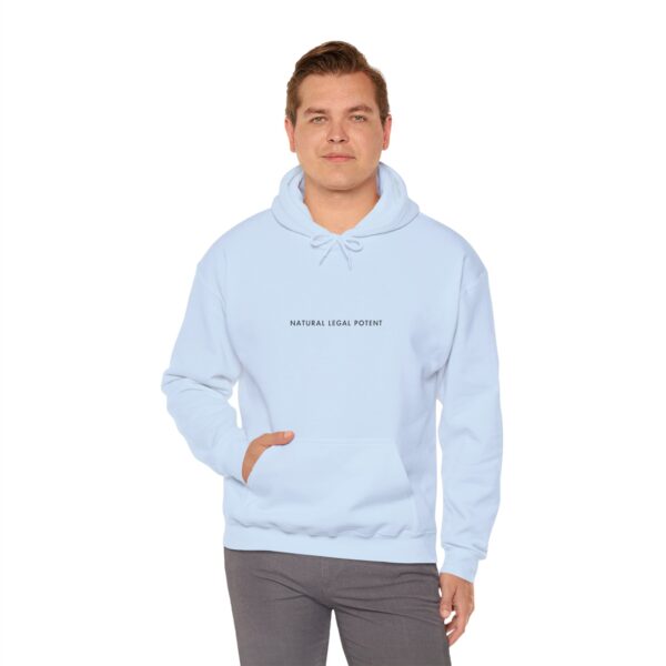 Everyday Hoodie