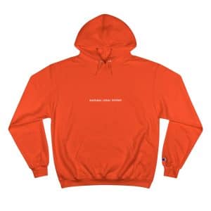 High Fidelity x Champion Hoodie 🎤🔥