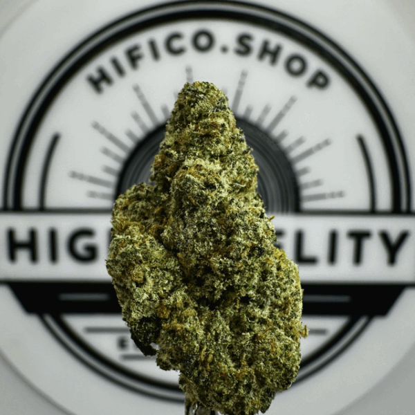 -"Baccio" (Uplifting Sativa) THCa Flower Bulk