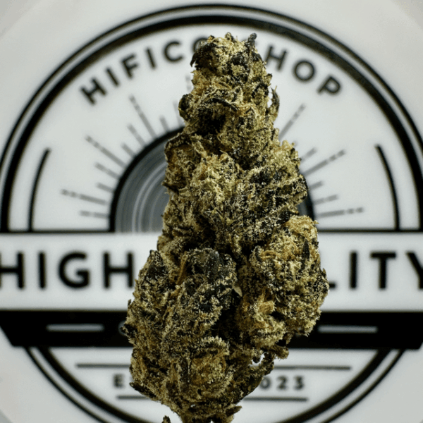 "Granddaddy Purple" (Restorative Indica) THCa Flower Bulk