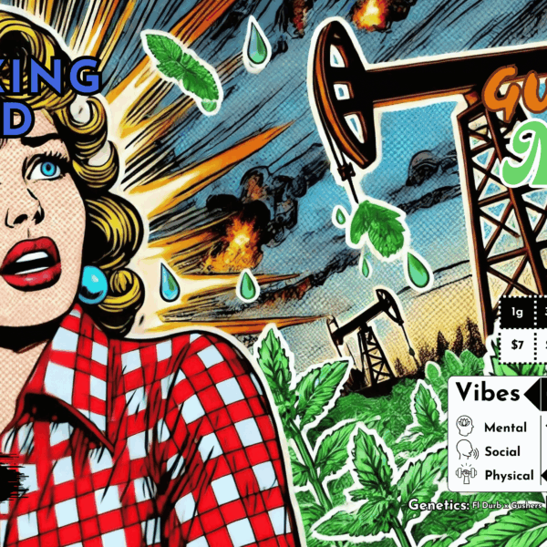 "Gush Mintz" (Relaxing Hybrid) THCa Flower Bulk