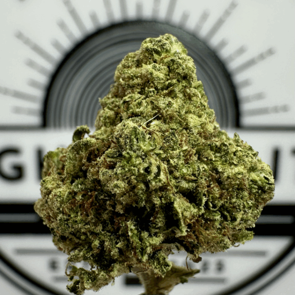 "Gary Payton Smalls" (Balancing Hybrid) THCa Flower Bulk