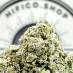 gelatti lo Fi Co thca flower   high fidelity co