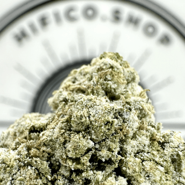 "Gelatti" Lo.Fi.Co THCa Flower