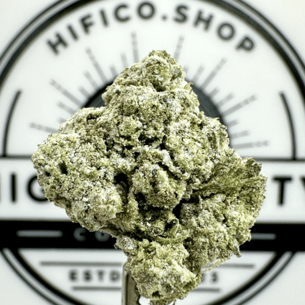 "Gelatti" Lo.Fi.Co THCa Flower