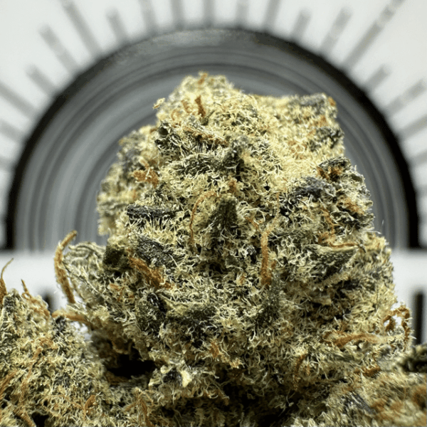 “The Keeper" (Relaxing Indica) THCa Flower Bulk