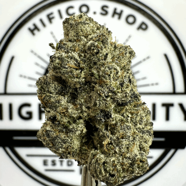 “Vice Runtz" (Uplifting Sativa) THCa Flower Bulk